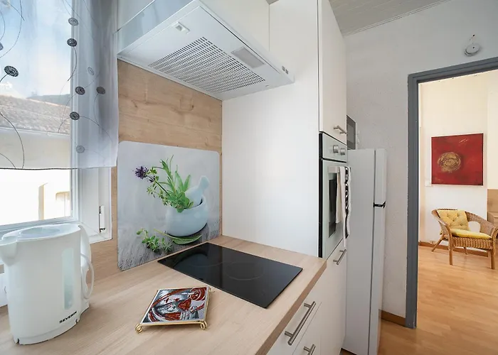 L'ecrin Des Bains - A 200m Des Thermes Διαμέρισμα